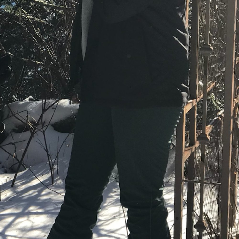 North face Ski Shell Pants - Picture 4 of 4